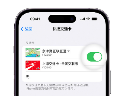 北镇apple维修点分享iPhone上更换Apple Pay快捷交通卡手绘卡面 