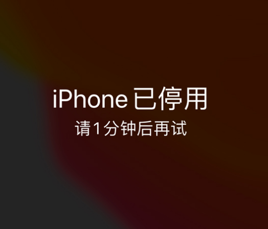 北镇苹果手机维修分享:iPhone 显示“不可用”或“已停用”怎么办？还能保留数据吗？ 