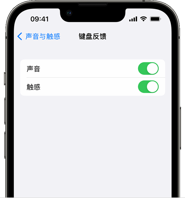 北镇苹果14维修店分享如何在 iPhone 14 机型中使用触感键盘 