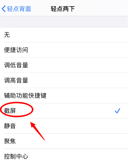 北镇苹果手机维修分享iPhone12如何启用双击截屏 